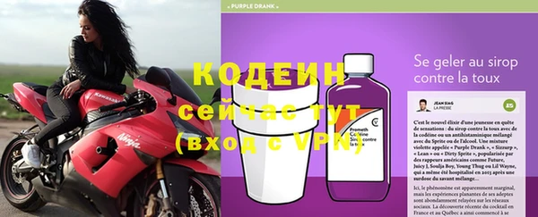 мяу мяу мука Белокуриха