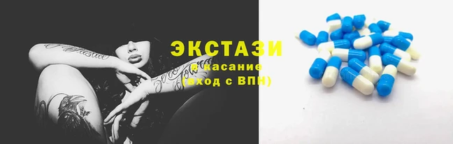 мяу мяу мука Белокуриха