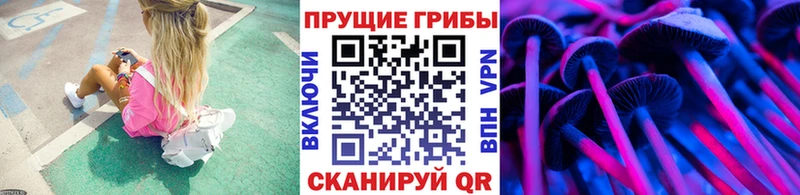 Псилоцибиновые грибы Magic Shrooms  mega сайт  Жуков 
